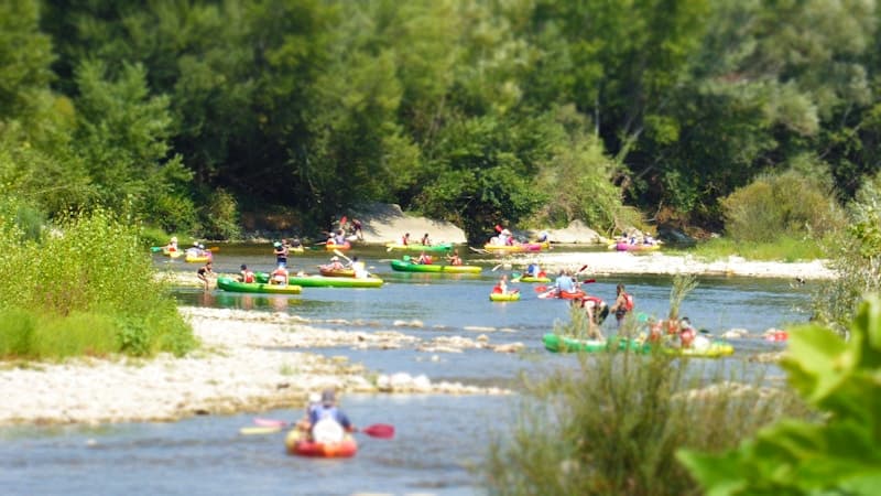 Canoës et kayaks colorés descendant une rivière calme bordée d'arbres