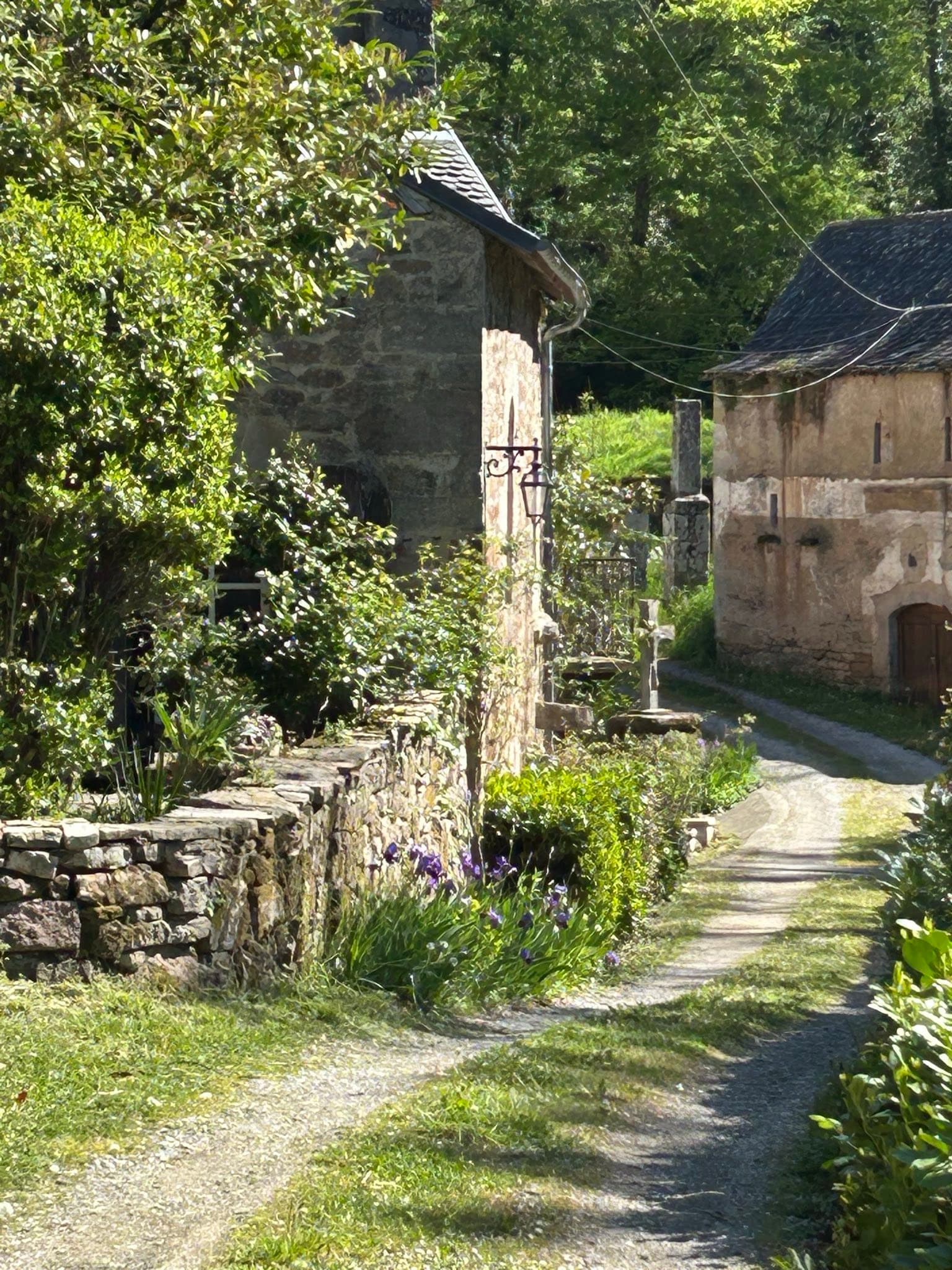 Chemin du hameau bordé d'iris entre les bâtisses en pierre