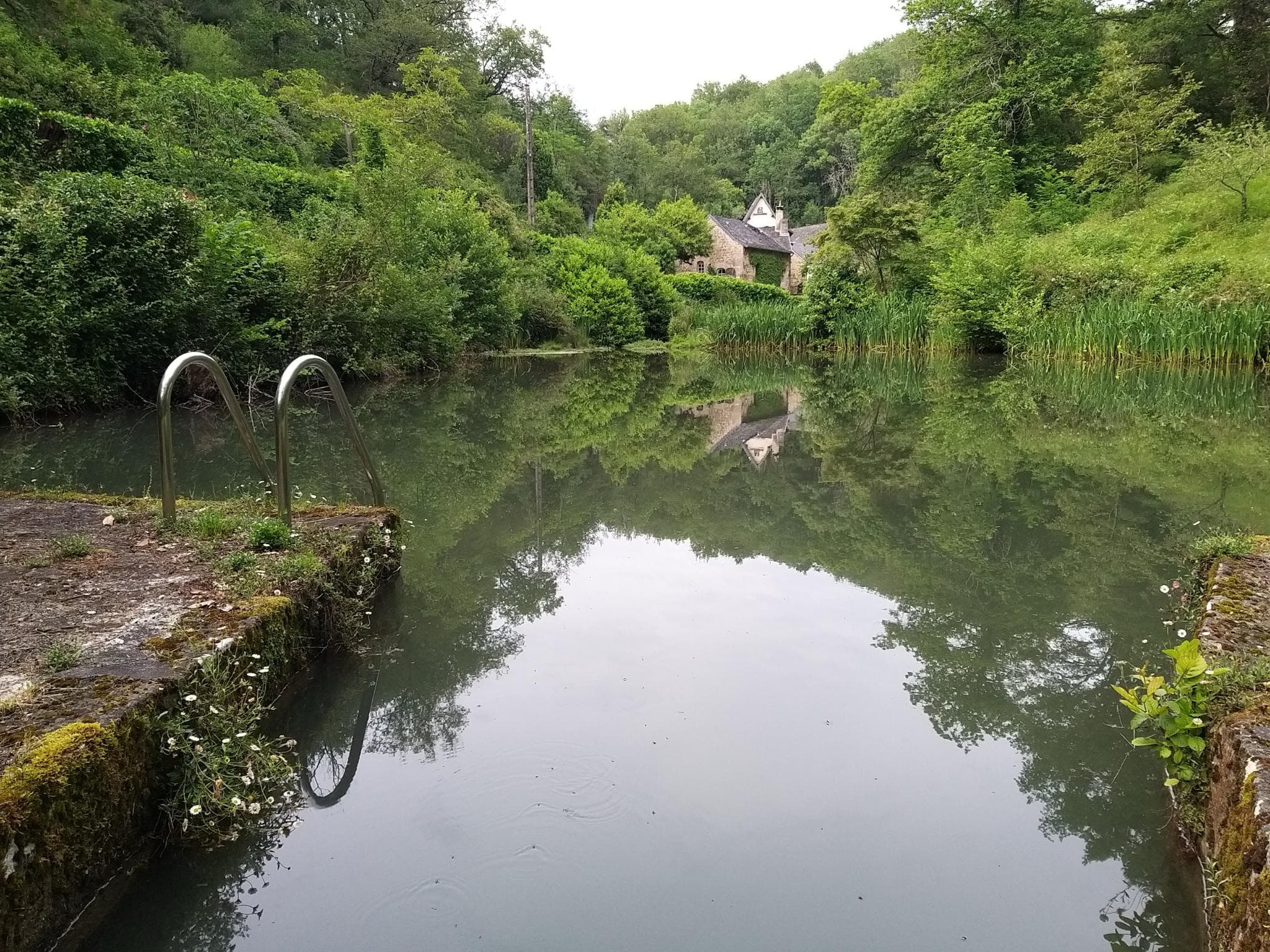 Étang naturel du moulin entouré de verdure